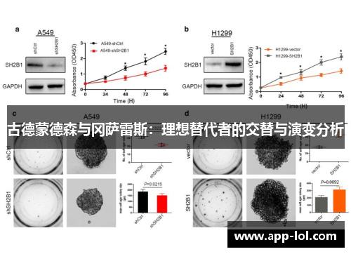 古德蒙德森与冈萨雷斯：理想替代者的交替与演变分析