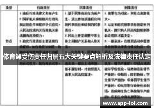 体育课受伤责任归属五大关键要点解析及法律责任认定