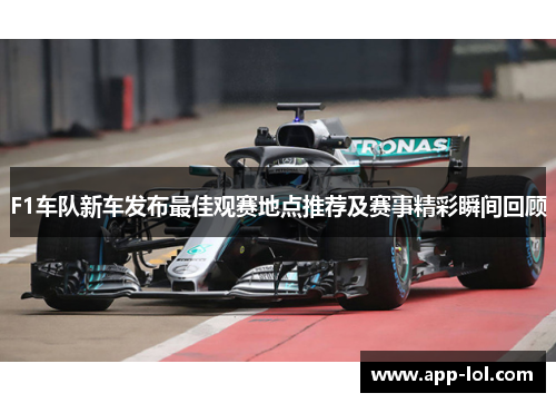 F1车队新车发布最佳观赛地点推荐及赛事精彩瞬间回顾
