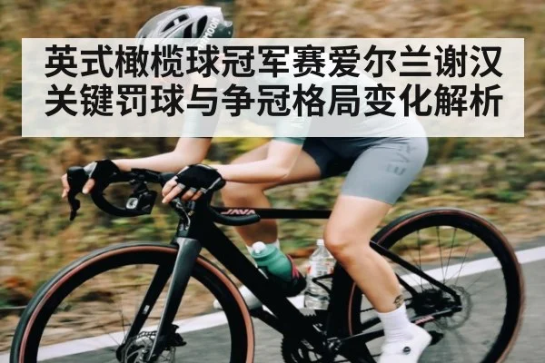 英式橄榄球冠军赛爱尔兰谢汉关键罚球与争冠格局变化解析